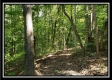Tract 1 – The Woods at Pedigo Ridge property photo