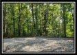 Tract 1 – The Woods at Pedigo Ridge property photo