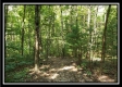 Tract 1 – The Woods at Pedigo Ridge property photo