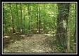Tract 1 – The Woods at Pedigo Ridge property photo