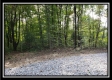 Tract 1 – The Woods at Pedigo Ridge property photo
