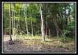 Tract 1 – The Woods at Pedigo Ridge property photo