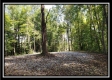 Tract 1 – The Woods at Pedigo Ridge property photo