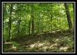 Tract 1 – The Woods at Pedigo Ridge property photo