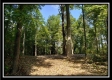 Tract 1 – The Woods at Pedigo Ridge property photo