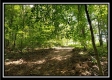 Tract 1 – The Woods at Pedigo Ridge property photo