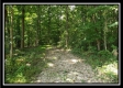 Tract 1 – The Woods at Pedigo Ridge property photo