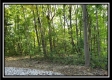 Tract 1 – The Woods at Pedigo Ridge property photo