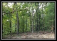 Tract 1 – The Woods at Pedigo Ridge property photo