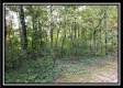 Tract 2 - The Woods at Pedigo Ridge property photo