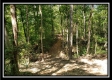 Tract 2 - The Woods at Pedigo Ridge property photo