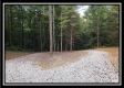 Tract 2 - The Woods at Pedigo Ridge property photo