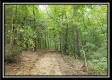 Tract 2 - The Woods at Pedigo Ridge property photo