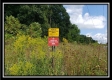 More of Tract 2 - The Woods at Pedigo Ridge