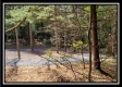 Tract 2 - The Woods at Pedigo Ridge property photo