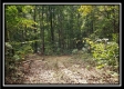 Tract 2 - The Woods at Pedigo Ridge property photo