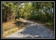 Tract 2 - The Woods at Pedigo Ridge property photo
