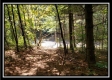 Tract 2 - The Woods at Pedigo Ridge property photo