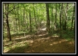 Tract 2 - The Woods at Pedigo Ridge property photo