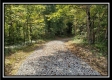 Tract 2 - The Woods at Pedigo Ridge property photo
