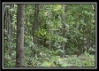 828 Whetstone Road property photo
