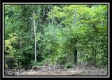 828 Whetstone Road property photo