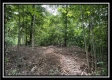 828 Whetstone Road property photo