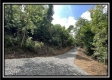 828 Whetstone Road property photo