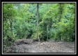 828 Whetstone Road property photo