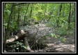 828 Whetstone Road property photo