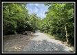 828 Whetstone Road property photo