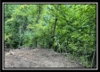 More of 828 Whetstone Road