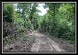 828 Whetstone Road property photo