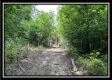 828 Whetstone Road property photo