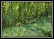Majestic Ridge property photo