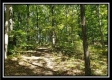 Majestic Ridge property photo