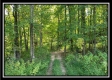 Majestic Ridge property photo