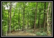 Pole-Barn Cabin at Camp Creek property photo