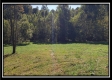 Pole-Barn Cabin at Camp Creek property photo