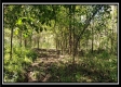 Pole-Barn Cabin at Camp Creek property photo