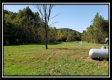 Pole-Barn Cabin at Camp Creek property photo