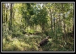 Pole-Barn Cabin at Camp Creek property photo