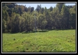 Pole-Barn Cabin at Camp Creek property photo