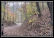 2169 Mohawk Coal Rd, Wellston, OH property photo