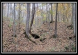2169 Mohawk Coal Rd, Wellston, OH property photo