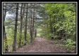 More of The Ponds at Perry Ridge
