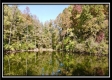 The Ponds at Perry Ridge property photo