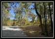 Tract 2 - Perry Ridge property photo