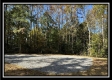 More of Tract 2 - Perry Ridge