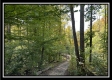 More of Tract 2 - Perry Ridge